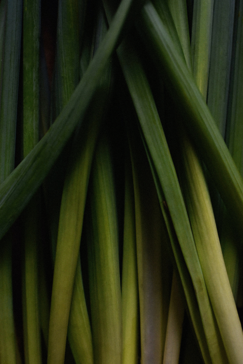 Lemongrass Soap 70g